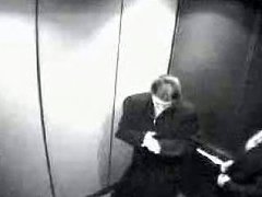 XHamster Blowjob In Elevator Free Elevator Blowjob Porn Video 99